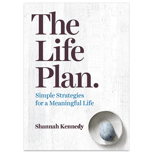 the-life-plan-hi.png